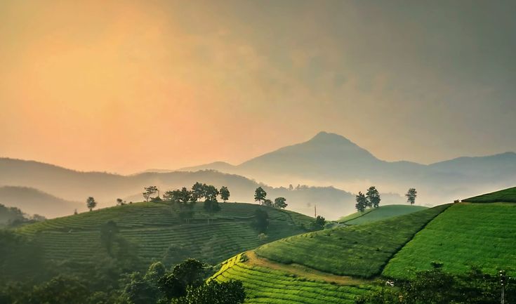 Coorg & Chikmagalur – Coffee Trails & Nature Escape