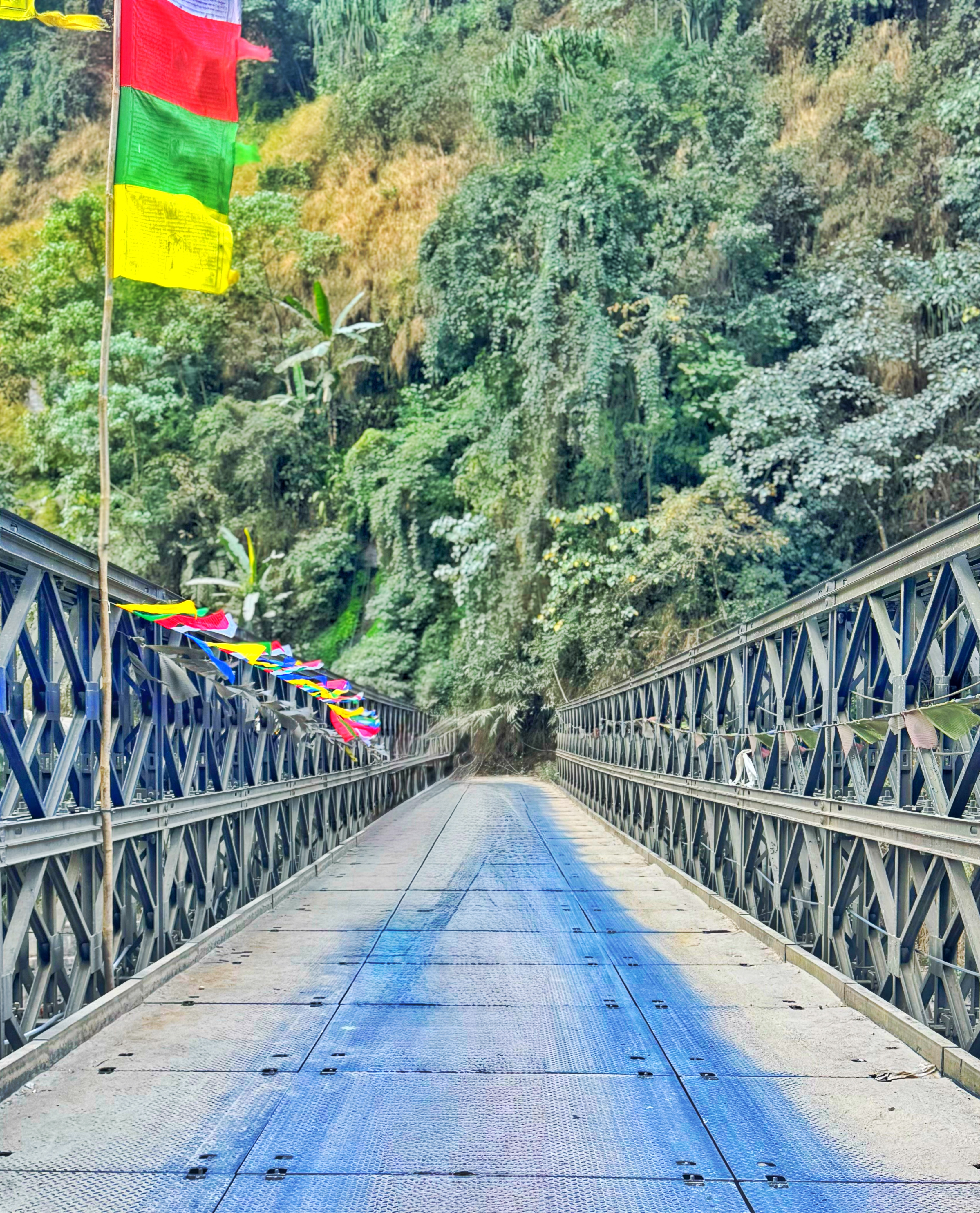 North Sikkim • Lachung - 8