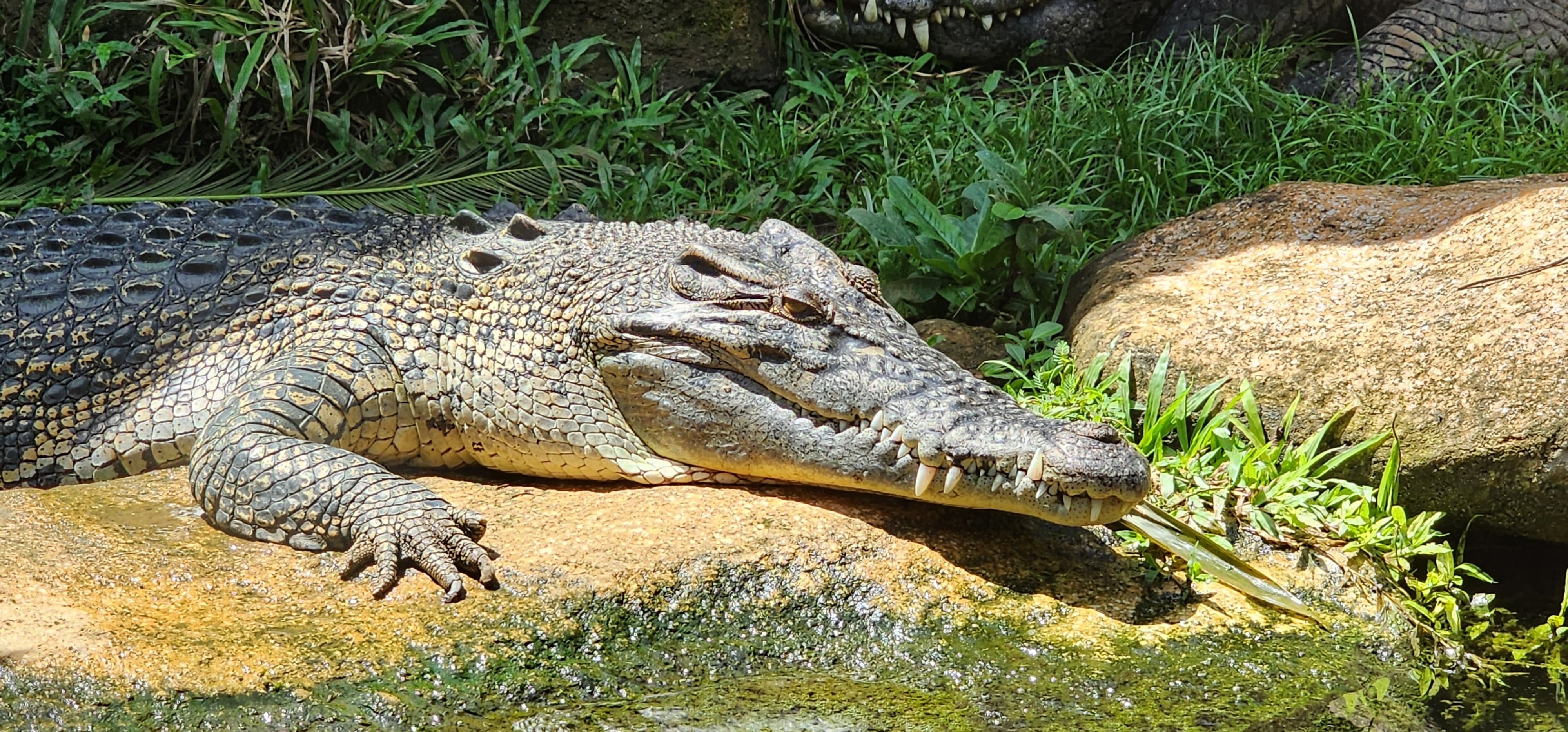 Bali • Nusa Penida • Ubud • Kuta - 25