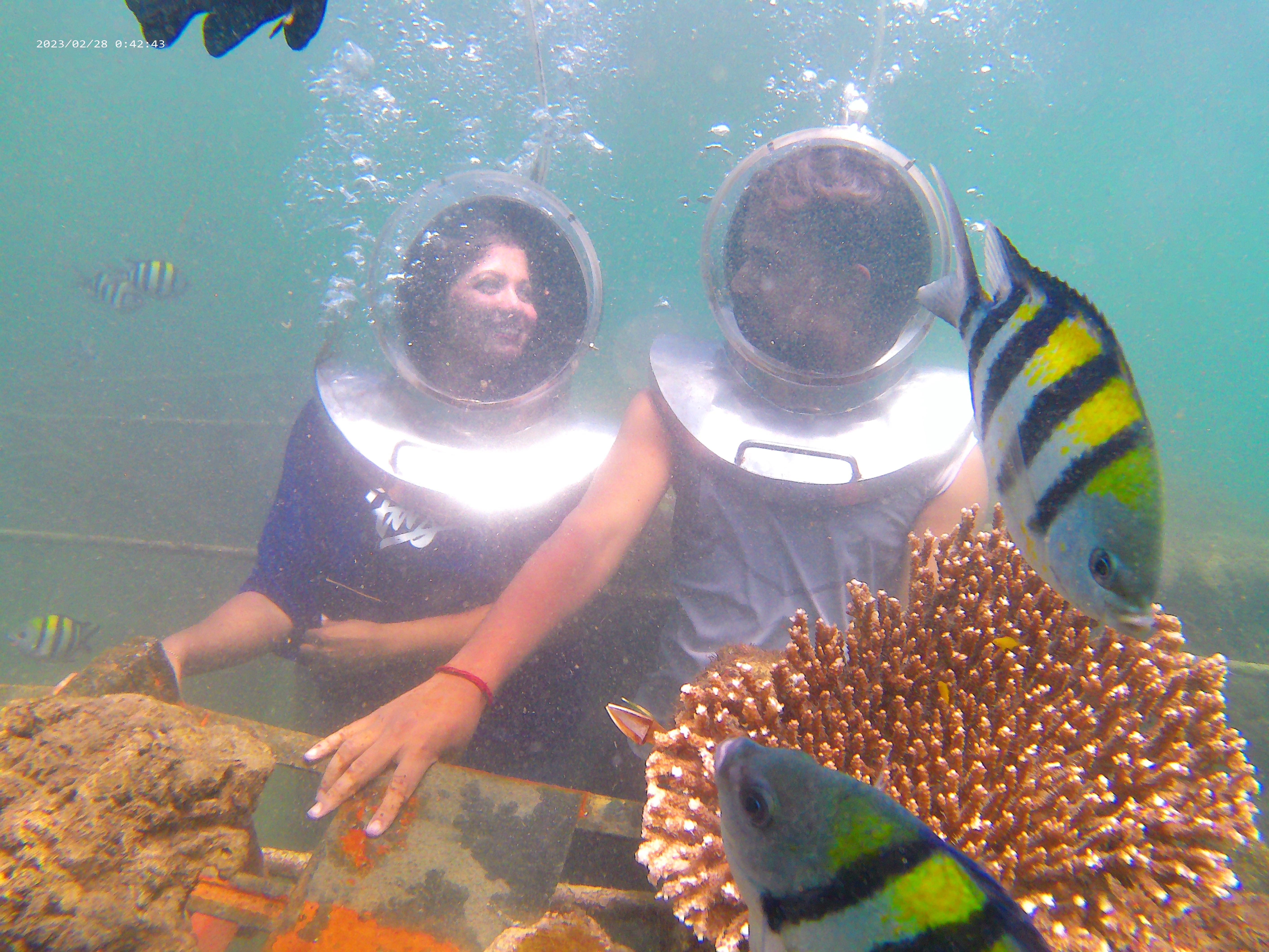 Bali • Nusa Penida • Ubud • Kuta - 10