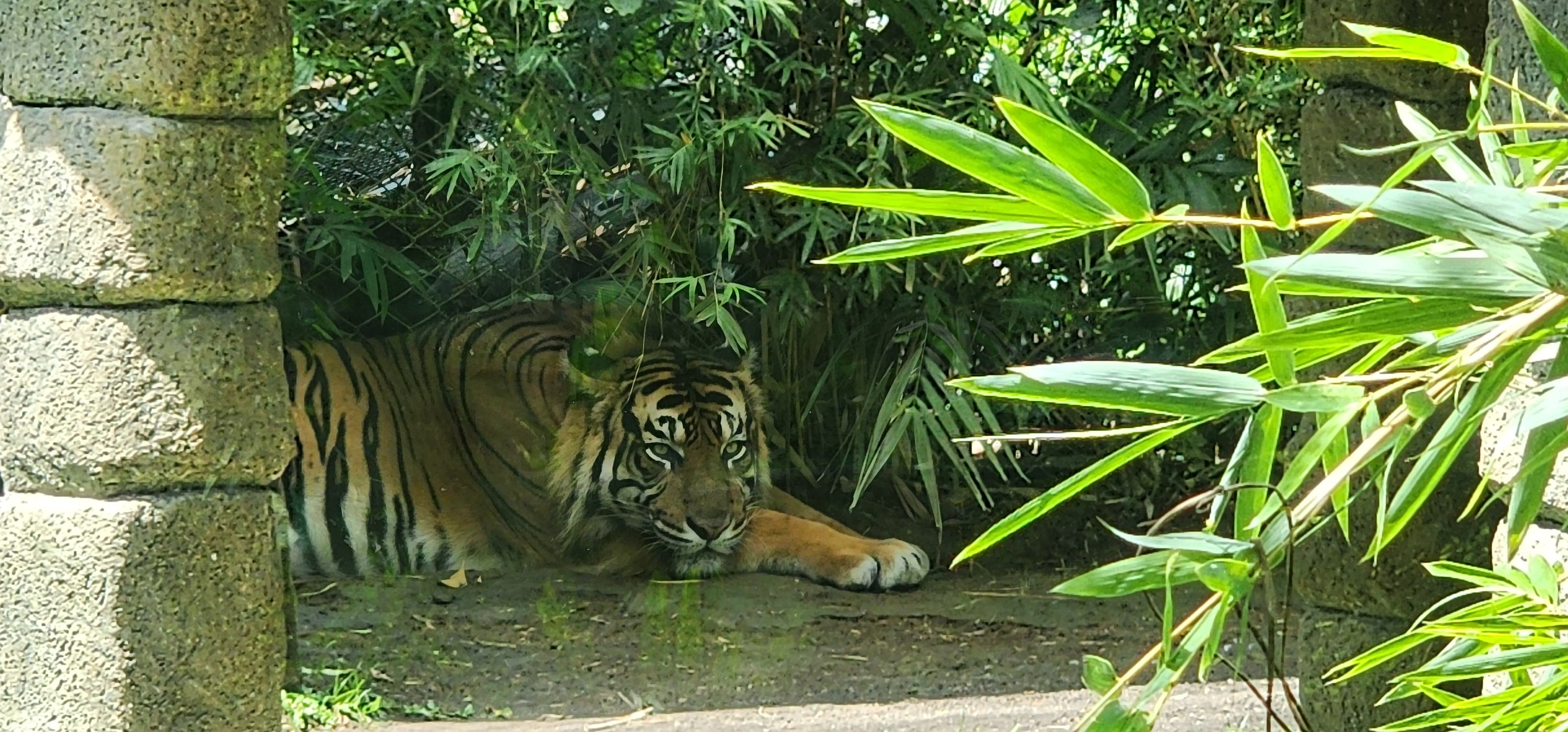 Bali • Nusa Penida • Ubud • Kuta - 23