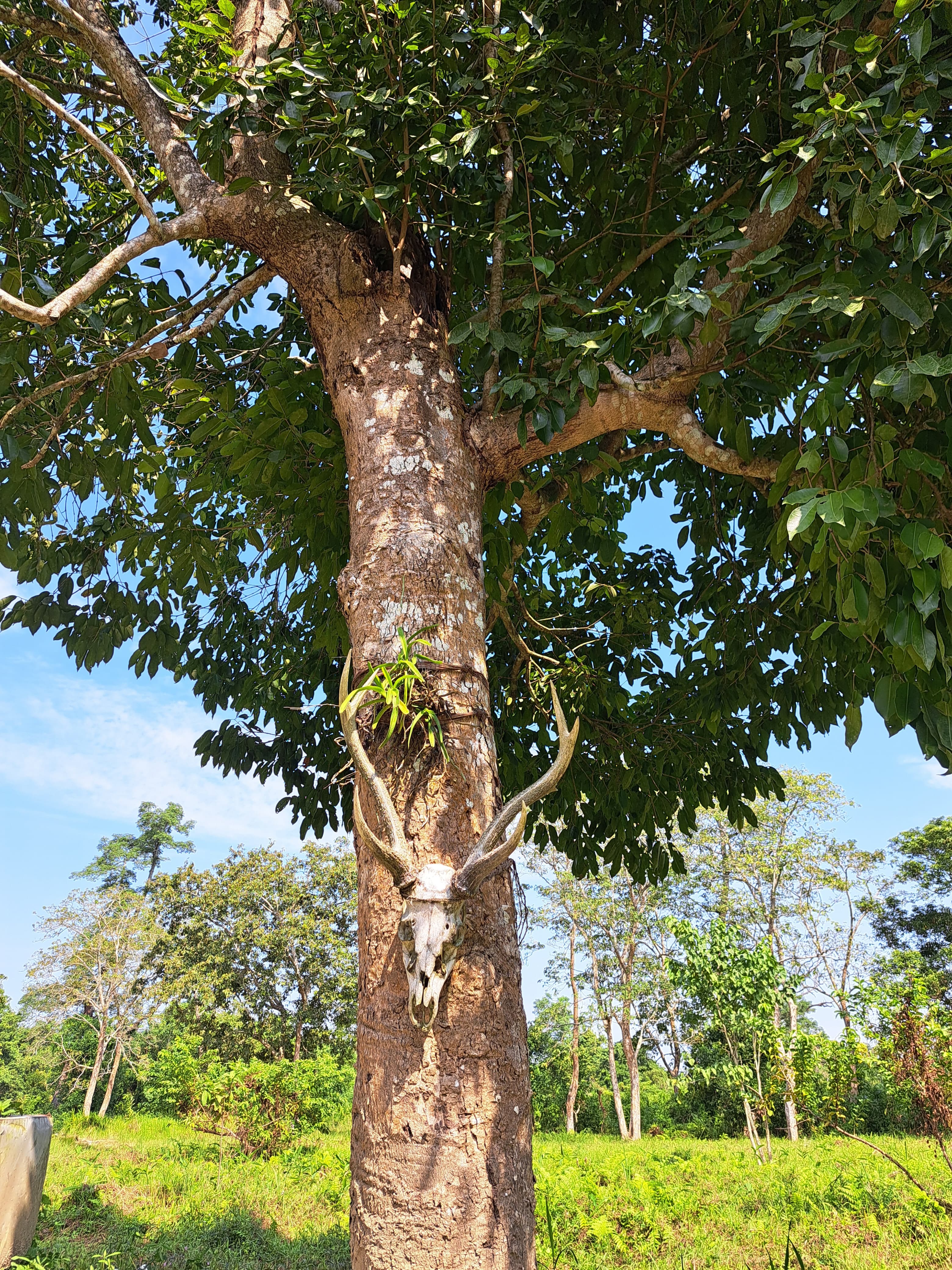 Meghalaya Backpacking Expedition - 4