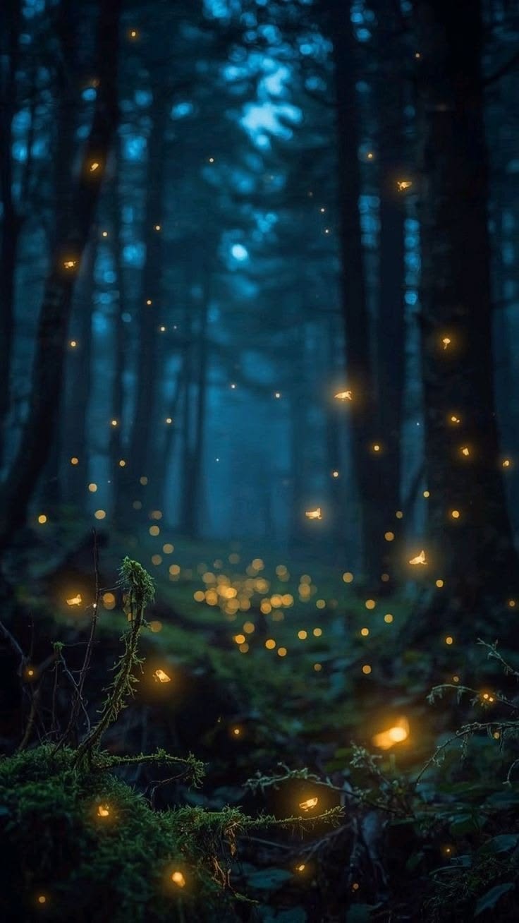 Rajmachi Fireflies Trek 2026 - 1